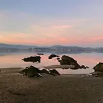 Fijogo
