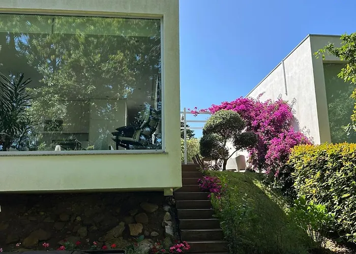 아파트 Fijogo Coura (Caminha)